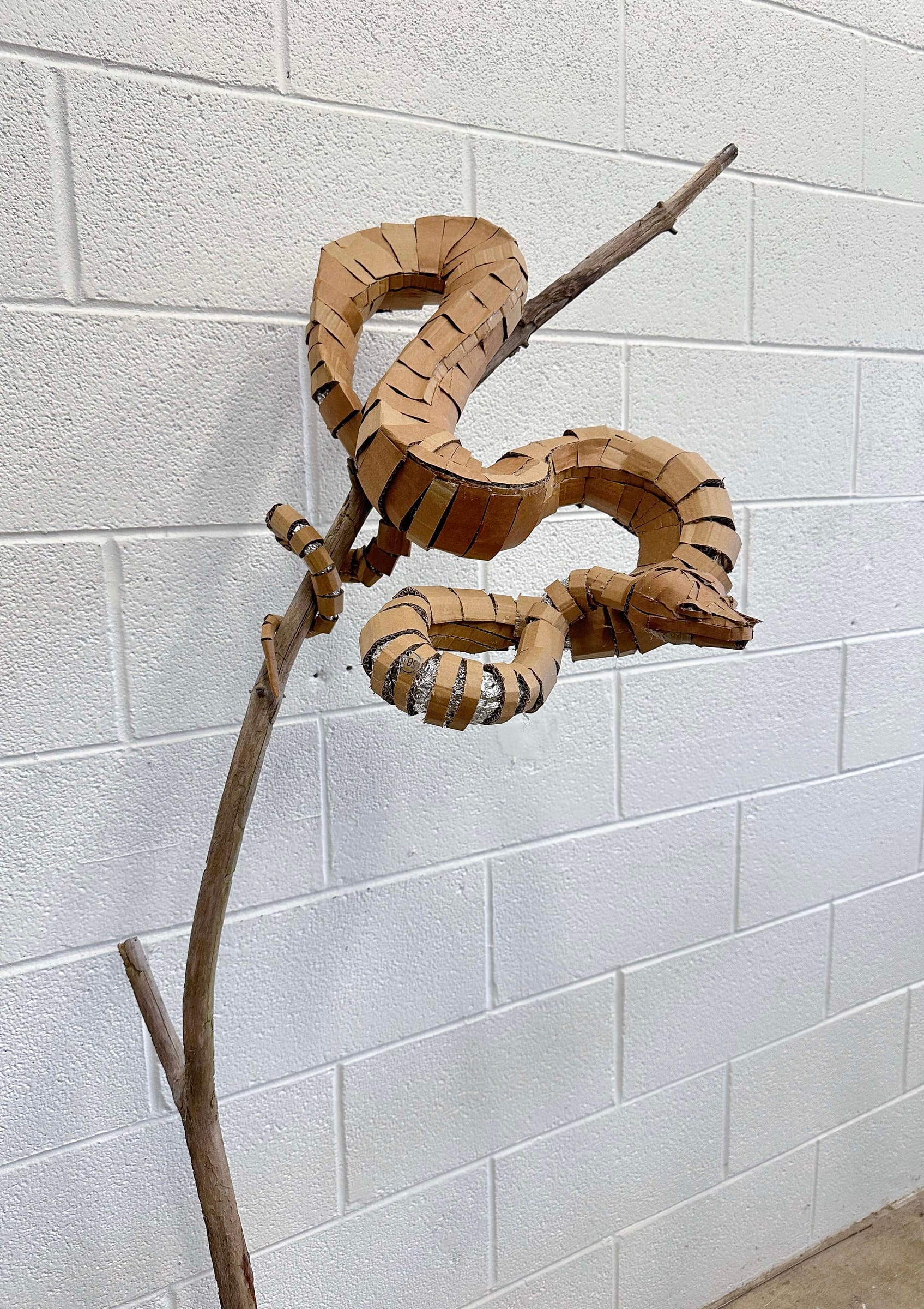 Cardboard Snake Sculpture thumbnail 7