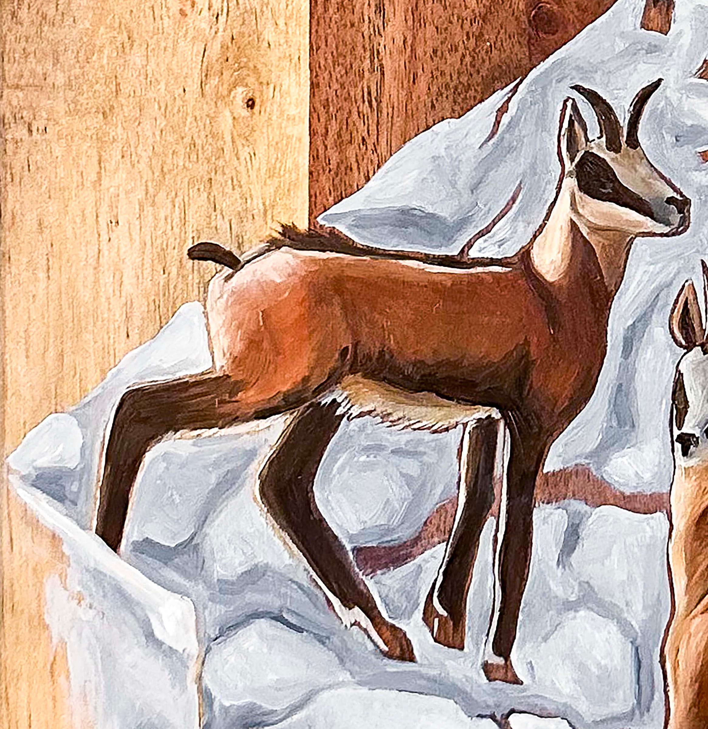 Mountain Goats thumbnail 4